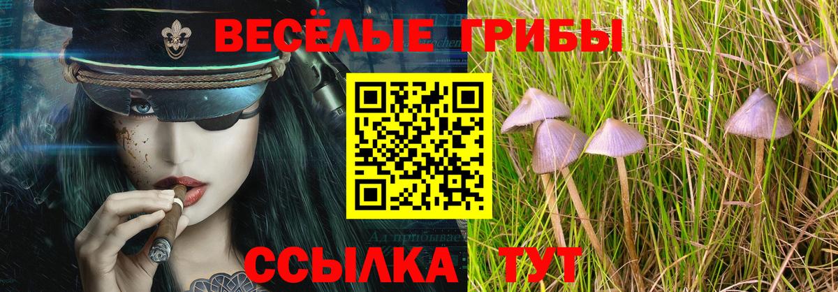 Новороссийск  Псилоцибиновые грибы GOLDEN TEACHER  Вход с VPN 